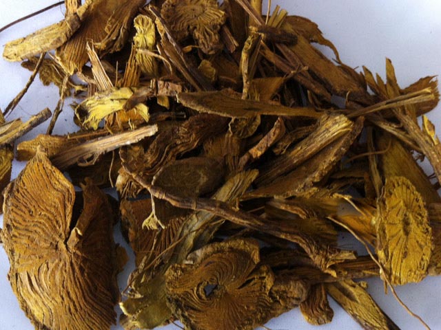 Hoàng đằng - Fibraurea tinctoria Lour., thuộc họ Tiết dê - Menispermaceae.