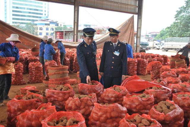 Tràn ngập nông sản biến đổi gen