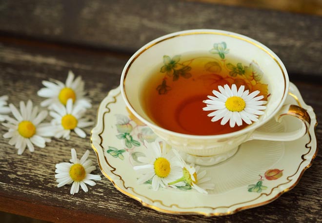 Các loại thảo dược làm trà giải khát và phòng bệnh mùa hè