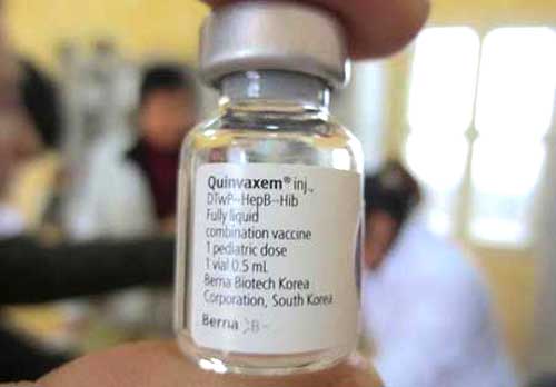 Hỏi đáp về vắc-xin Quinvaxem